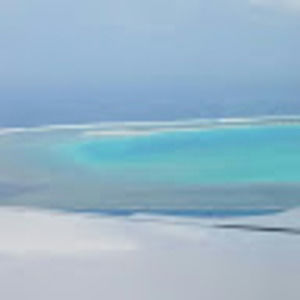 Meet your Posher, Luli